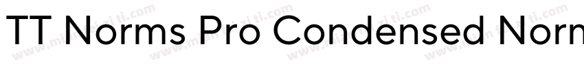 TT Norms Pro Condensed Normal字体转换